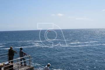 Avistan cetáceos en el mar de La Garita-Telde (Foto TA)